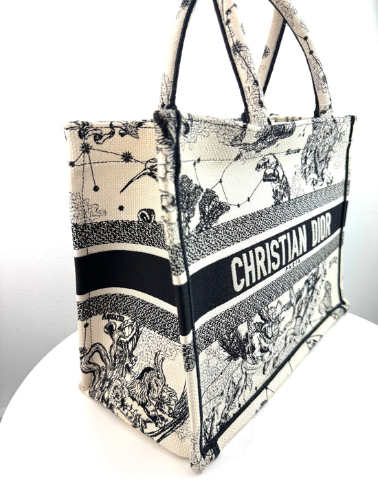 Dior Canvas Embroidered Small Toile De Jouy Book Tote Latte