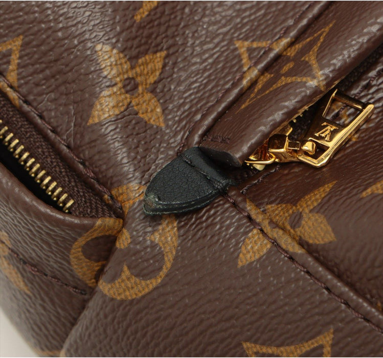 Louis Vuitton Palm Springs backpack