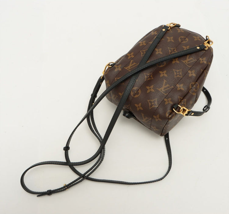 Louis Vuitton Palm Springs backpack