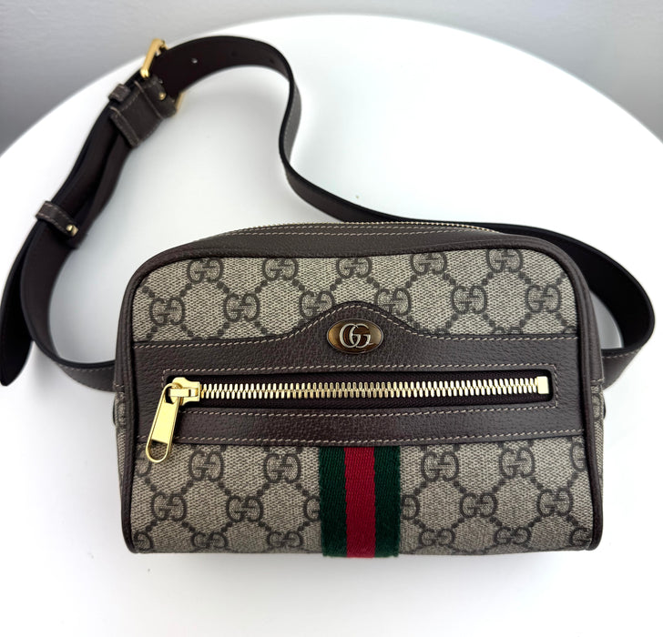Gucci GG Supreme Ophidia Belt Bag