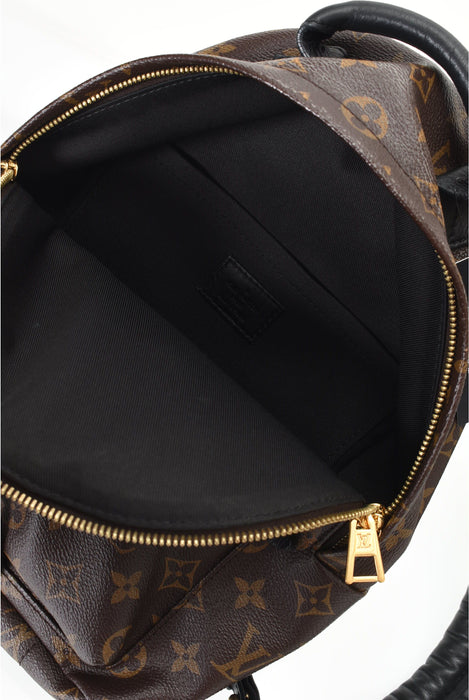 Louis Vuitton Palm Springs Backpack Pm