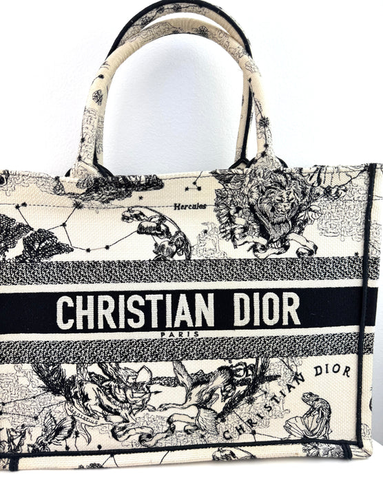 Dior Canvas Embroidered Small Toile De Jouy Book Tote Latte