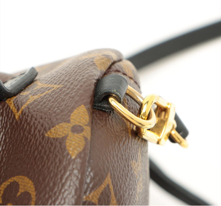 Louis Vuitton Palm Springs backpack