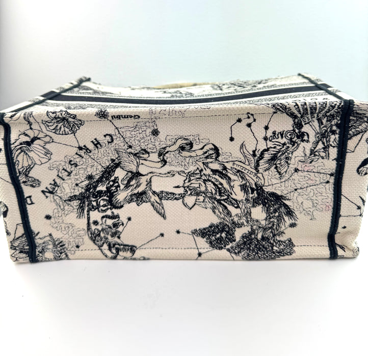 Dior Canvas Embroidered Small Toile De Jouy Book Tote Latte