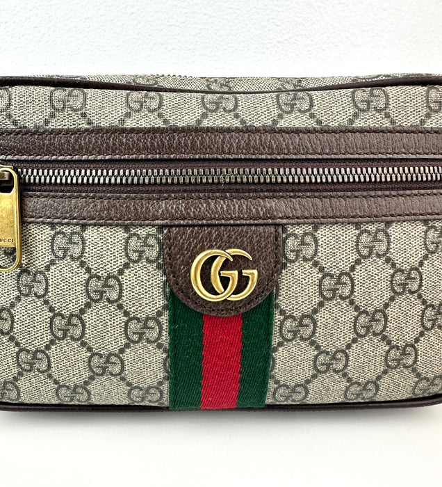 Gucci GG Ophidia Belt Bagu