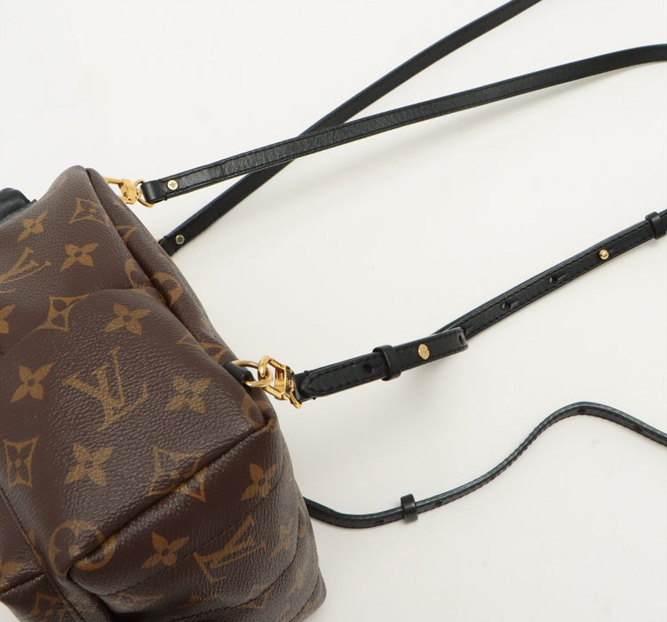 Louis Vuitton Palm Springs backpack