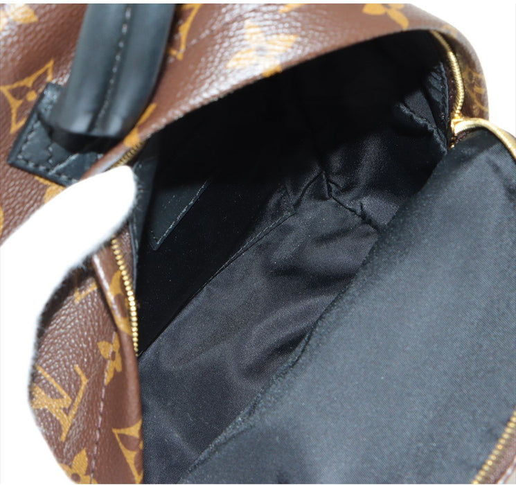 Louis Vuitton Palm Springs backpack