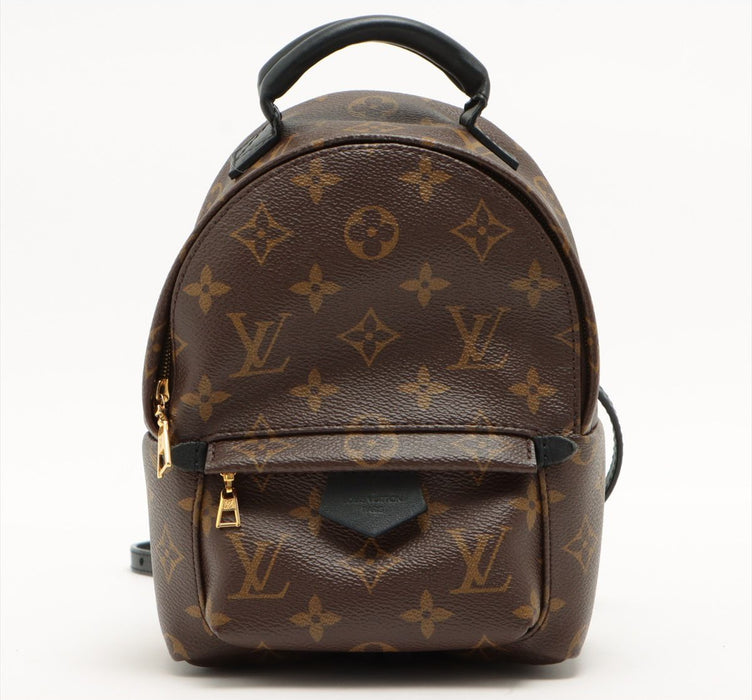 Louis Vuitton Palm Springs backpack