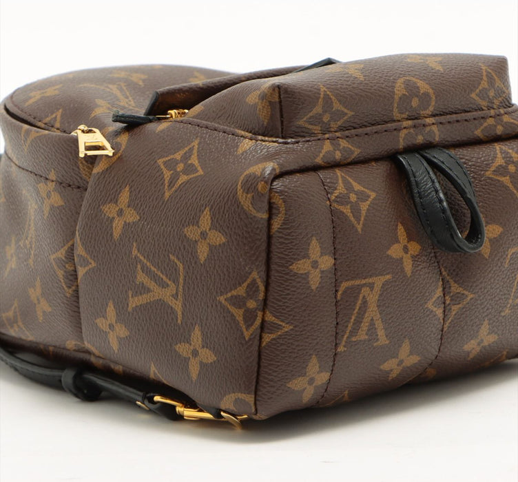 Louis Vuitton Palm Springs backpack