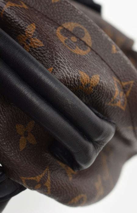 Louis Vuitton Palm Springs Backpack Pm