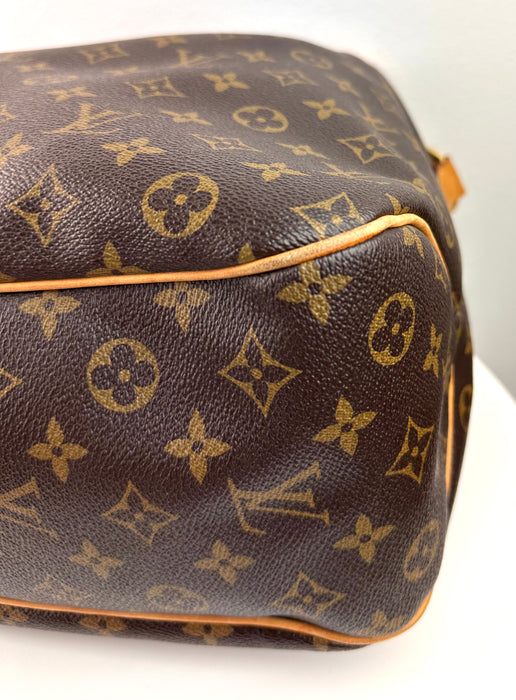 Louis Vuitton Delightful Pm monogram