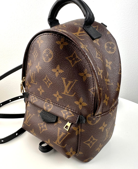 Louis Vuitton Palm Springs Mini Backpack..