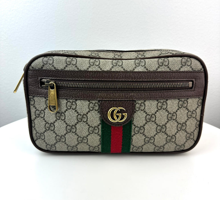 Gucci GG Ophidia Belt Bagu