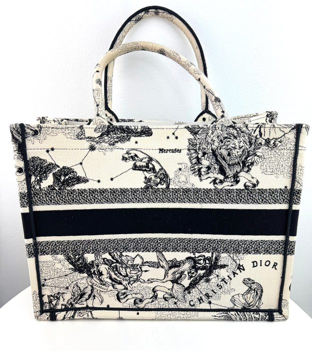 Dior Canvas Embroidered Small Toile De Jouy Book Tote Latte