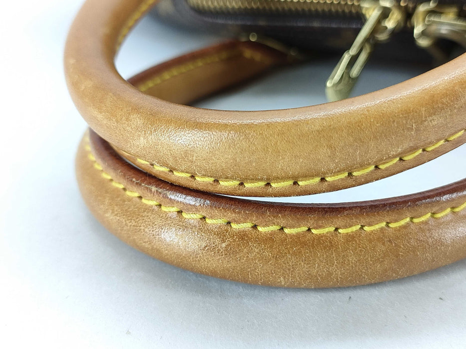 Louis Vuitton Deauville Monogram bag