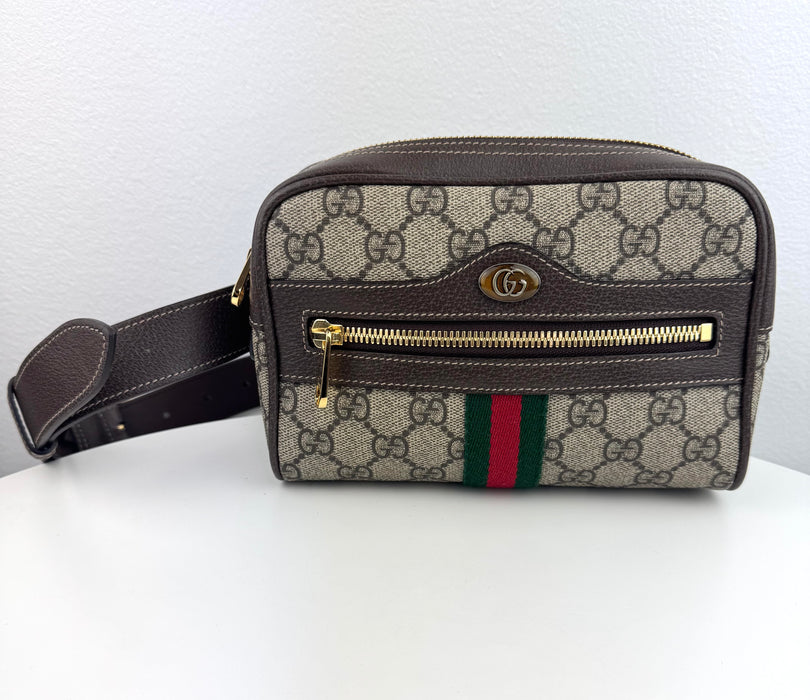 Gucci GG Supreme Ophidia Belt Bag