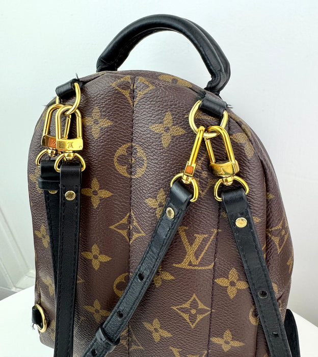 Louis Vuitton Palm Springs Mini Backpack..