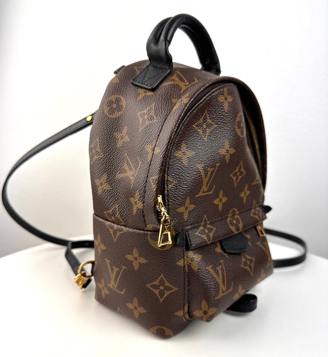 Louis Vuitton Palm Springs Mini Backpack..