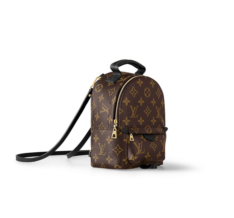 Louis Vuitton Palm Springs Mini Backpack..