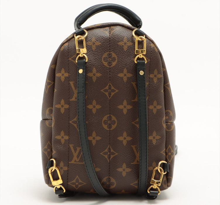 Louis Vuitton Palm Springs backpack