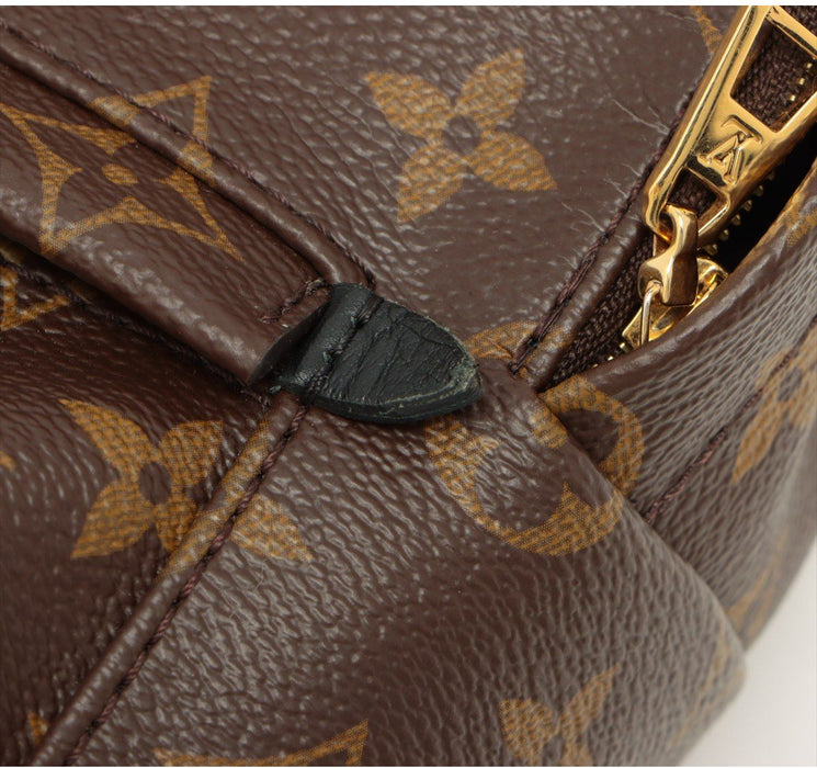 Louis Vuitton Palm Springs backpack