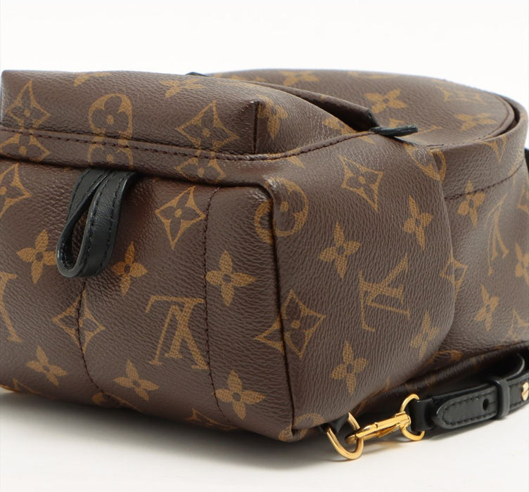 Louis Vuitton Palm Springs backpack