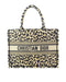 Dior Small Book Tote in Beige Multicolor Mizza Embroidery