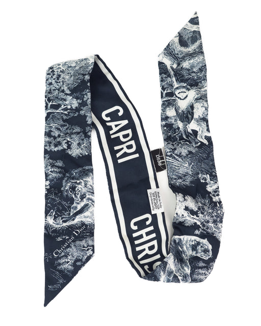 Dior Toile De Jouy Scarf deep blue