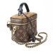 Louis Vuitton Vanity Pm Monogram