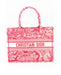 Dior Small Book Tote in Raspberry Toile De Jouy Reverse Embroidery