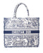 Dior Book Tote in Blue Toile De Jouy Reverse Embroidery