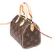 Louis Vuitton Speedy Nano Monogram