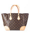 Louis Vuitton Monogram Phenix Bag