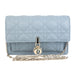 Christian Dior Chain Pouch in Gray