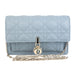 Christian Dior Chain Pouch in Gray