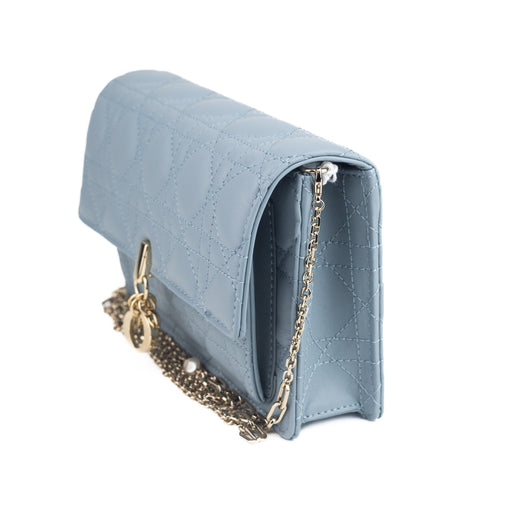 Christian Dior Chain Pouch in Gray