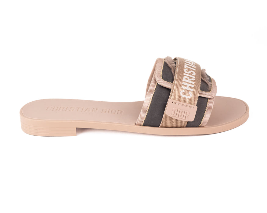 Dior (R)evolution Slides