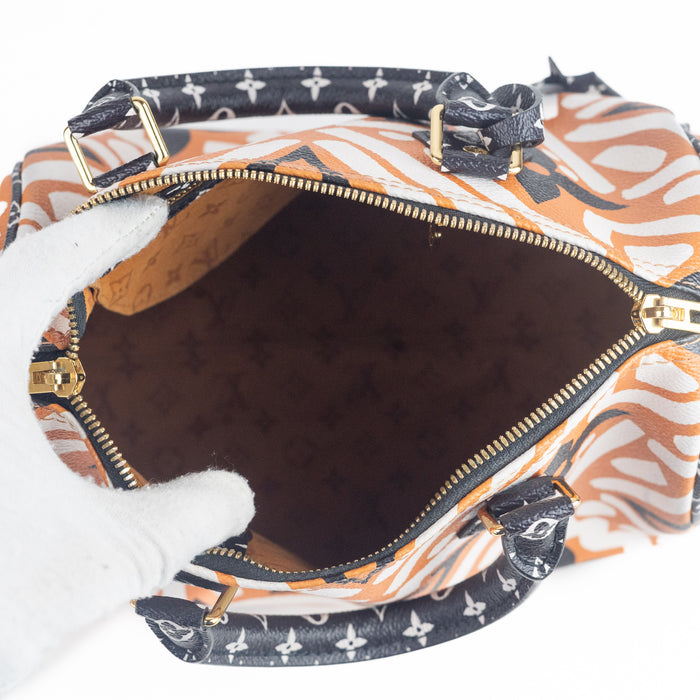 Louis Vuitton Crafty Speedy 25 Bandouliere Limited Edition