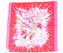 Hermes Graff Scarf 45