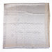 Louis Vuitton Monogram Shine Shawl