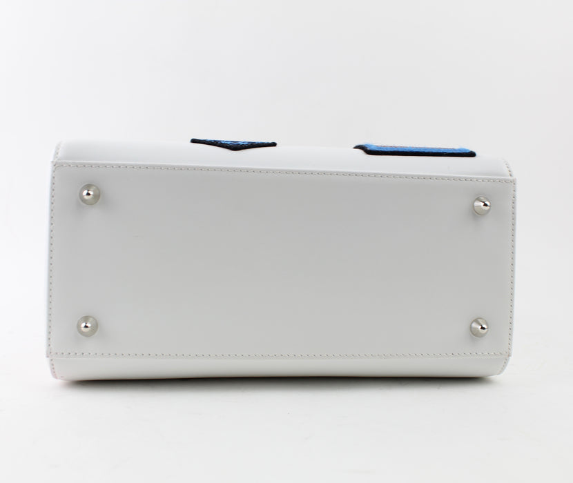 CHRISTIAN DIOR LADY DIOR BAG - LuxurySnob