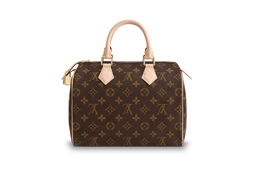 LOUIS VUITTON SPEEDY 25 - LuxurySnob