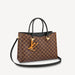 Louis Vuitton LV Riverside Tote