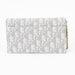 Dior Saddle Wallet on Chain