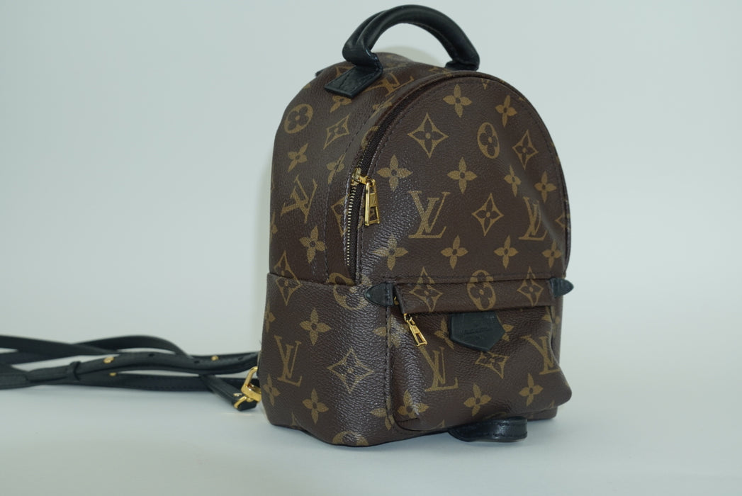 Louis Vuitton Palm Springs Mini Backpack