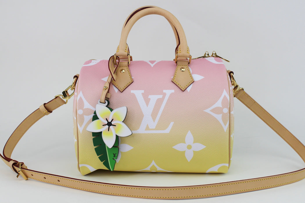 Louis Vuitton Pool Collection Speedy 25