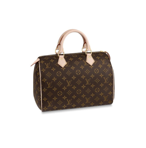 LOUIS VUITTON SPEEDY 30 - LuxurySnob