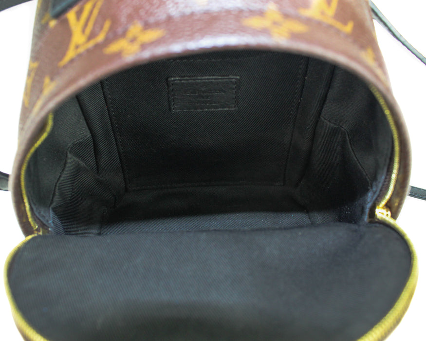 Louis vuitton Palm Springs Mini Backpack Monogram