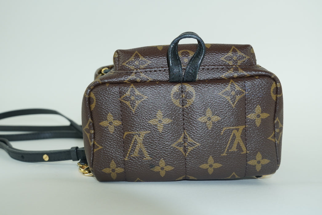 Louis Vuitton Palm Springs Mini Backpack