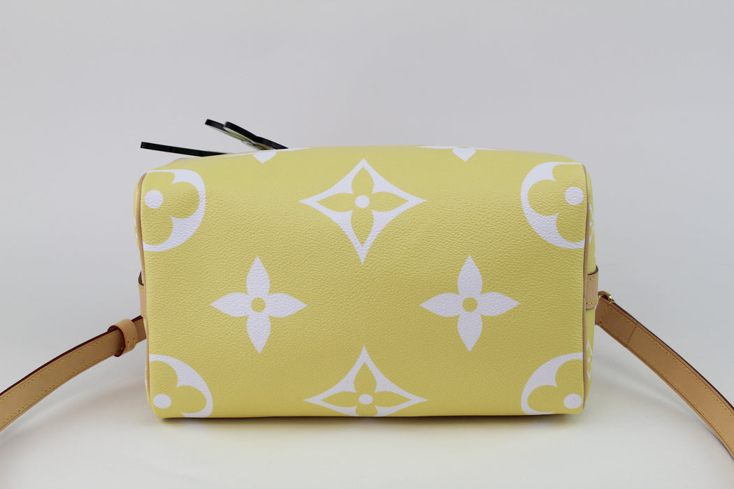 Louis Vuitton Pool Collection Speedy 25